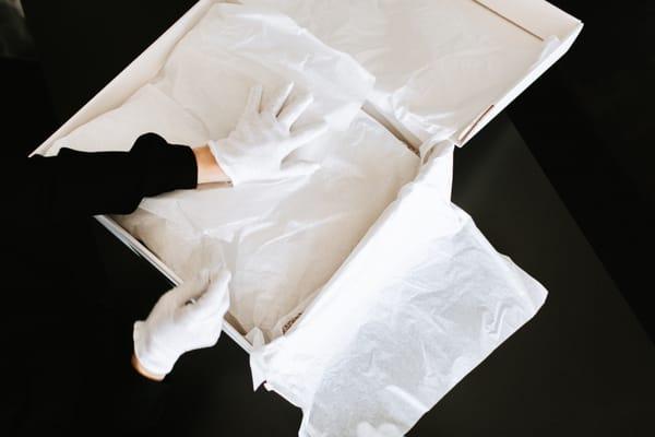 Evermore Wedding Gown Care