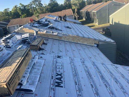 Almondtree Management