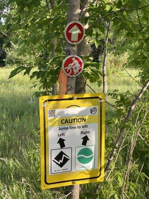 I think i'll still to green, thank you