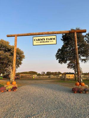 Carm's Farm