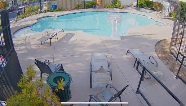 The Management Trust