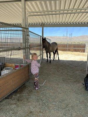 Picture of our My Gym fan who has ponies and a colorful life.