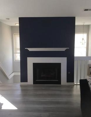 TrueTone Painting of SRQ