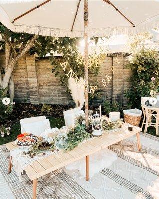 Ambience Picnics & Parties