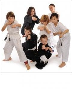 Studio Naga Indo-American Martial Arts