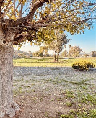 Northglen Apartments