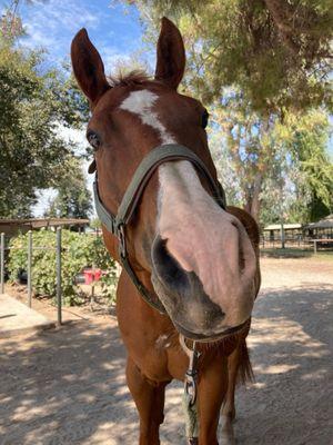 Parker's Equestrian Ctr