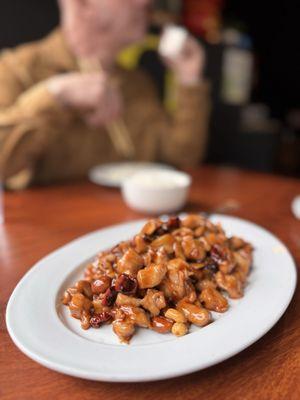 H5. Kung Pao Chicken