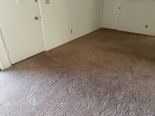 Penagos Carpet Cleaning