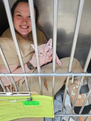 Burnt Hills Veterinary Hospital