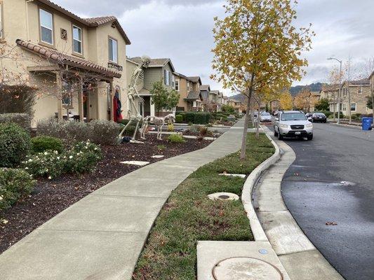 Community looks great!