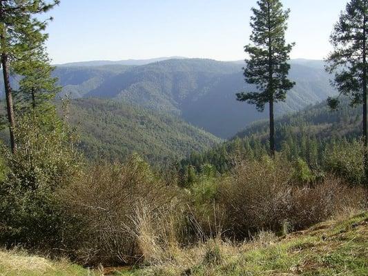 Wortons Foresthill Grocery