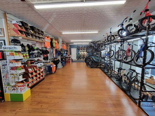 Stedman's Bicycle Shop