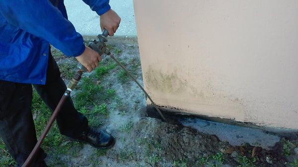 Drive-Bye Exterminators