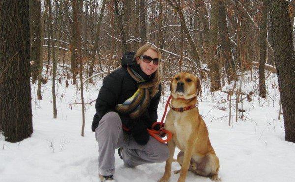 High Peaks Pet Sitting