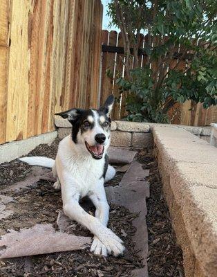 Aqua Animal Care Center