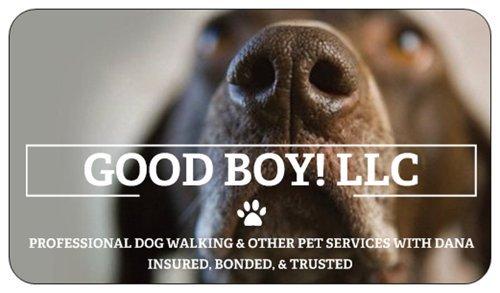 Good Boy Dog Walking
