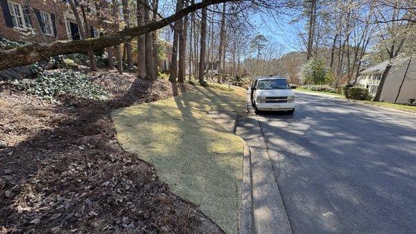 All Star Landscapes & Lawn Care