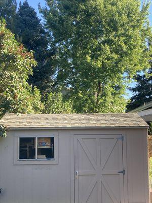 New Shed Roof