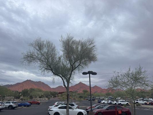 Super Paulene's Nails