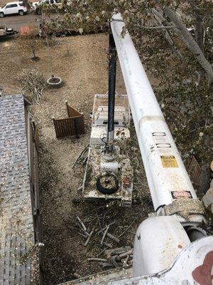 Vincent Tree Service