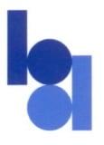 Borelli Direct Marketing