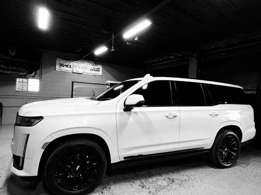 Maximus Glass Solutions