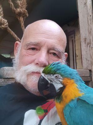 Wildlife Rescue & Removal