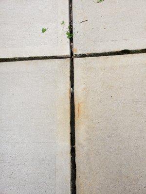 Luca Antonelli Contracting