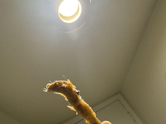 Doesn't clean chicken correctly