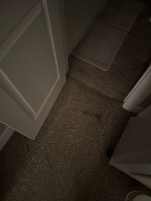 Area that was flooded. Currently poured vinegar on. Not a stain.