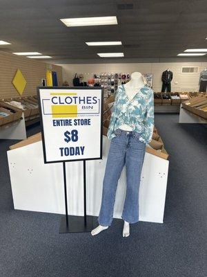 One example of the great merchandise you can find at only $8.00 for each piece .