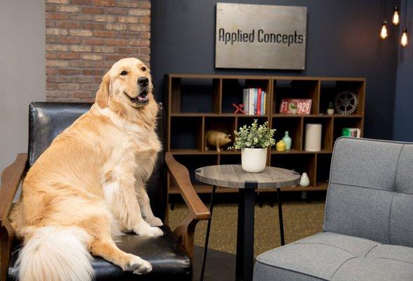 Molly became the Chief Canine Officer of Applied Concepts in November 2019. https://appliedconcepts.com/about-bio/molly-jones/