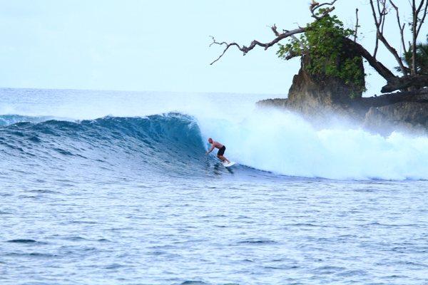 Joel Tarquin - Sotheby's International Realty