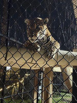 Panther Ridge Conservation Center