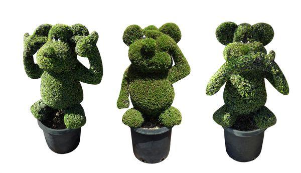 Chris' Topiary