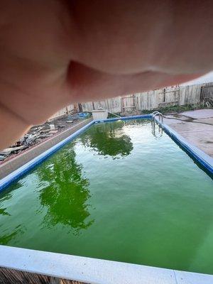 Blue Ripple Pools Service & Maintenance