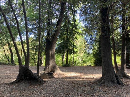 Mirabel RV Park & Campground