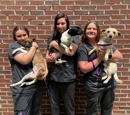 Lake City Animal Hospital