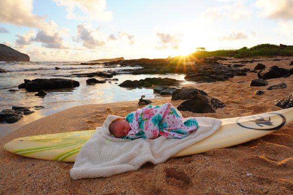 Copperhead Photography