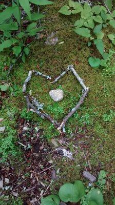 Joyful Nature Healing