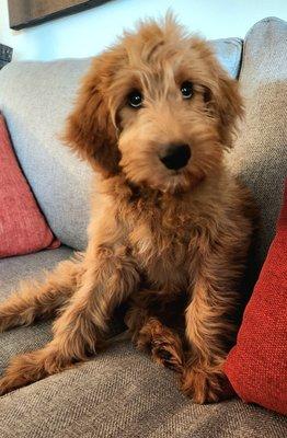 Cuddles of College Park