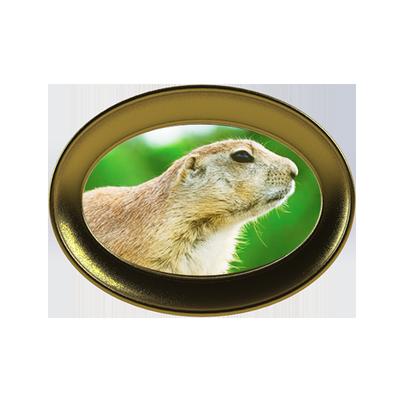 Golden Gopher Delivery