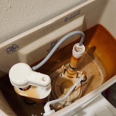 Newtech Construction & renovation