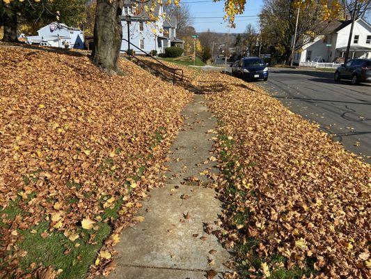 C&C Property Maintenance