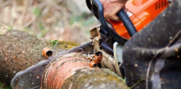 Rogel Landscaping & Tree Service