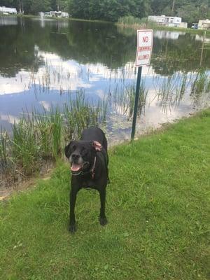 Joey loves her lake front campsite!