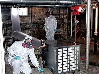 1st - Indoor Restoration