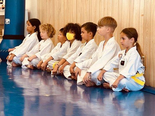 Double Dragon Tae Kwon Do