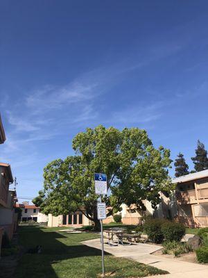 Courtyard between our north and south buildings.